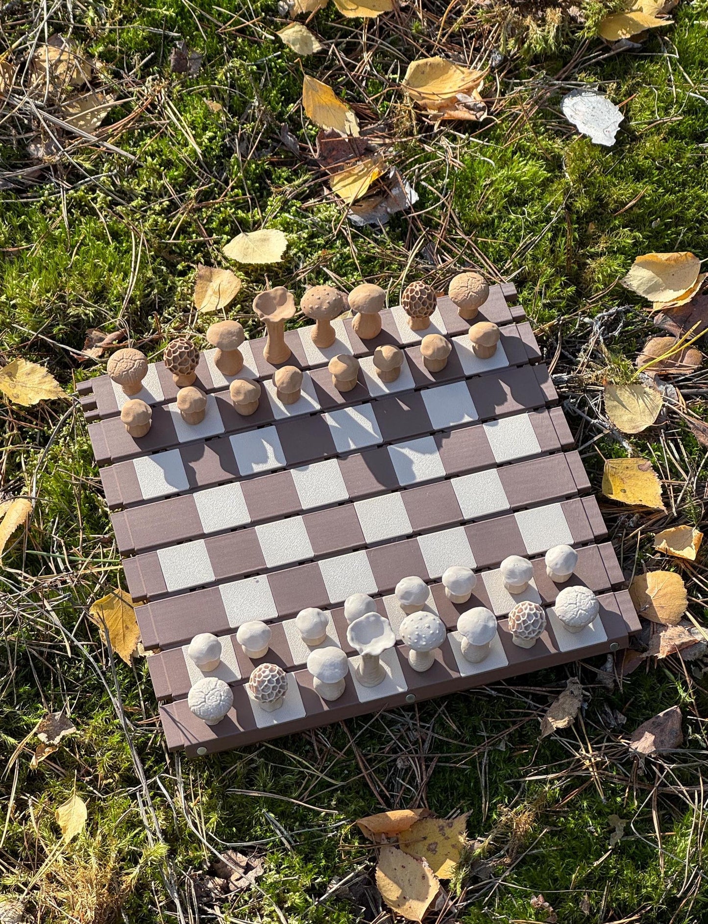 Magnetic Forest Mushrooms Chess