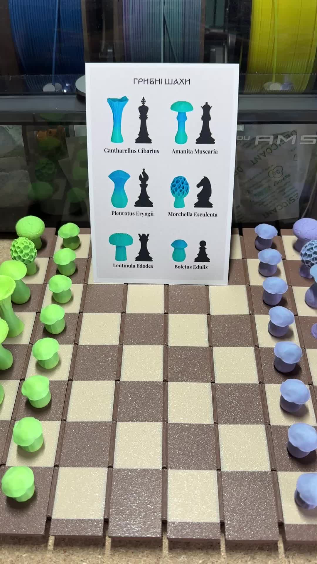 Magnetic Forest Mushrooms Chess