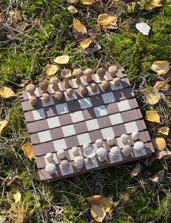 Magnetic Forest Mushrooms Chess