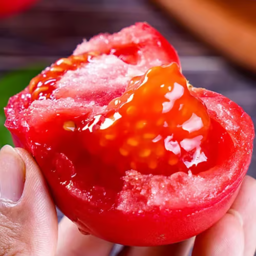 【7 days germination】Last Day 50% OFF Potted Dwarf Tomato Seeds