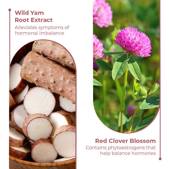 Wild Yam Cream