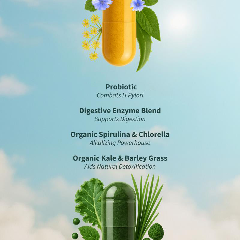 Gut Reset Bundle - Gut Health + Spirulina & Chlorella