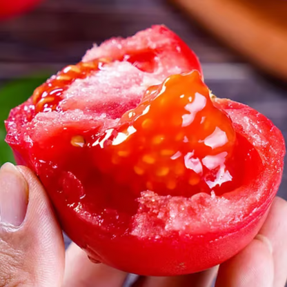 【7 days germination】Last Day 50% OFF Potted Dwarf Tomato Seeds
